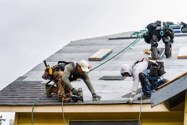 Professional Flat Roof Repair technician working in Montour, IA